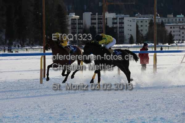 ET0Q1323 prot